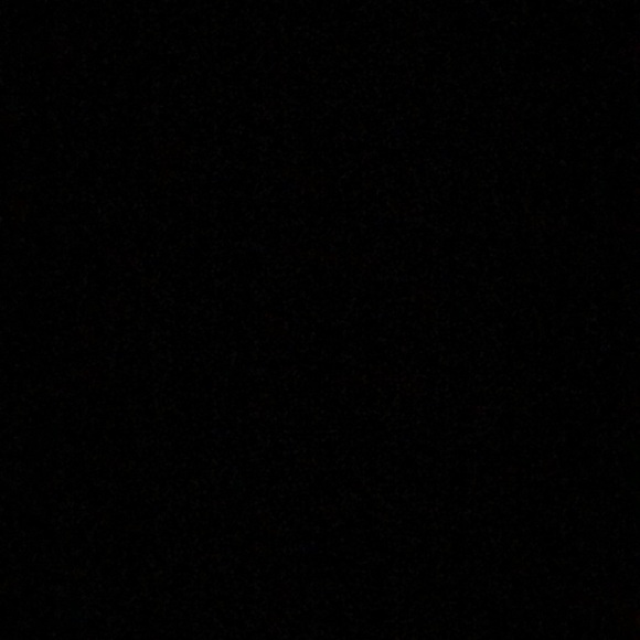 Meet your Posher, Addie - Picture 1 of 1